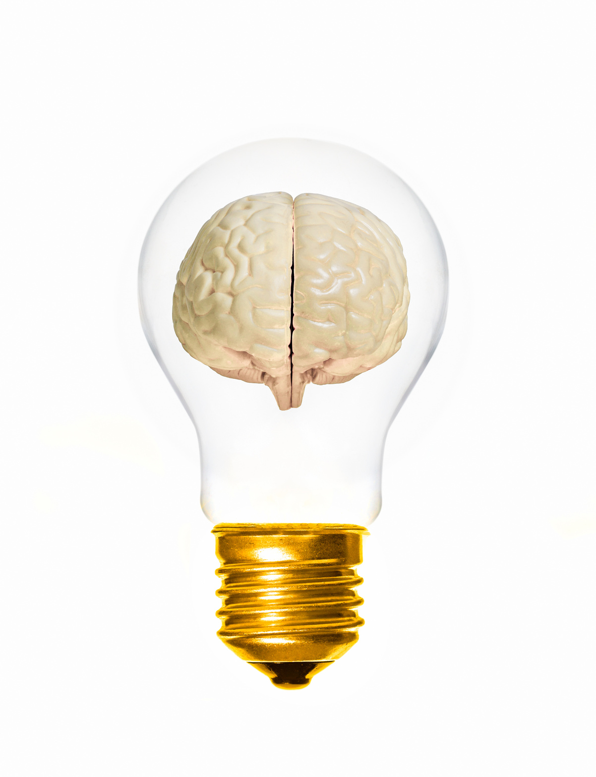 brain light bulb